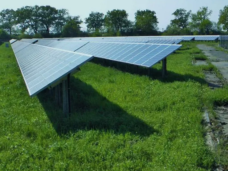 La Chine et les Pays-Bas renforceront leur coopération dans le domaine des nouvelles énergies